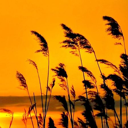 فندق Feeling Cone Jūrkalne المظهر الخارجي الصورة
